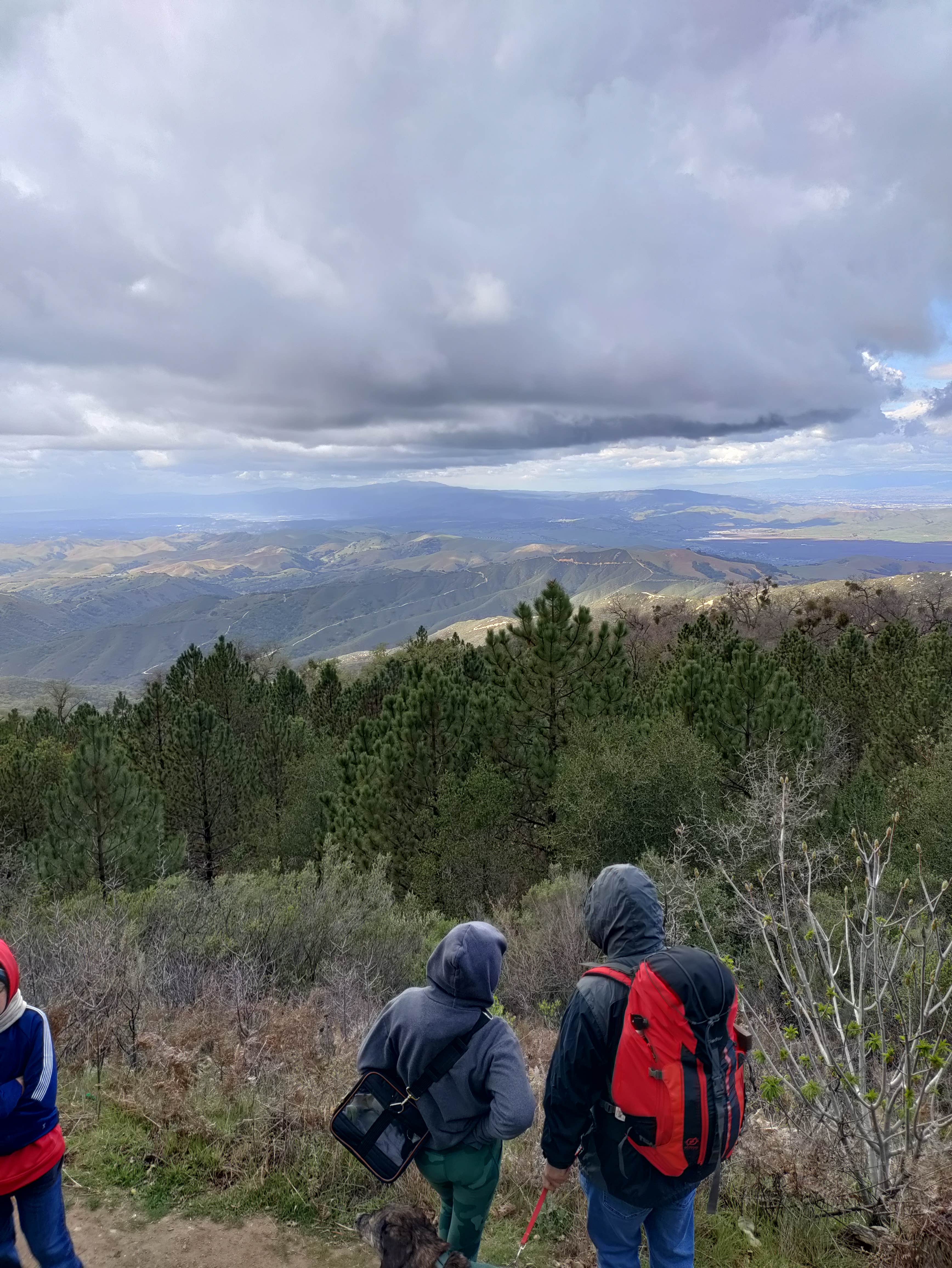 Camper submitted image from Oak Point Campground — Fremont Peak State Park - 4