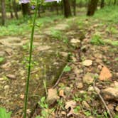 Review photo of Shady Lake Campground by Kevin , March 6, 2022