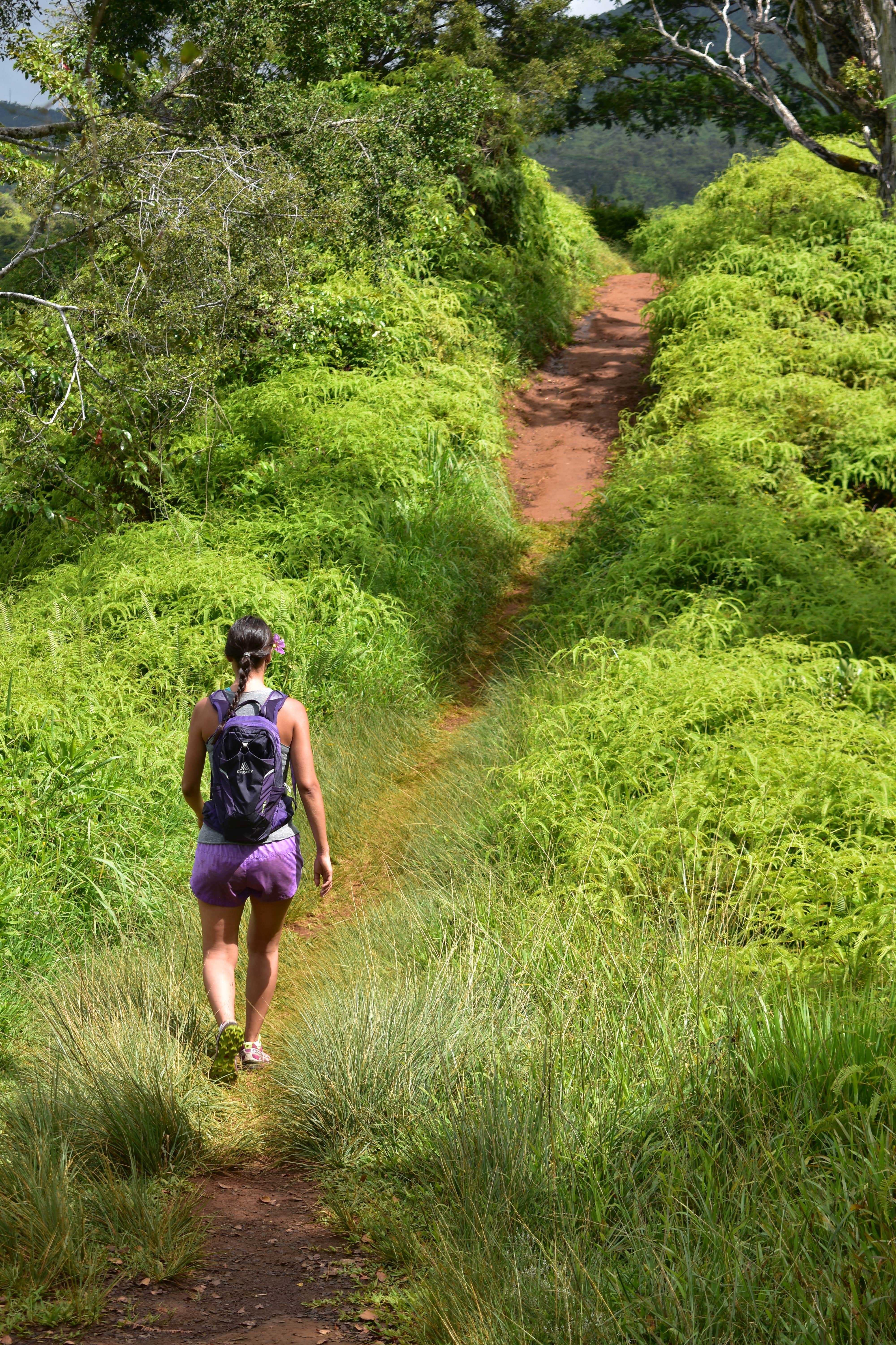 Hanamaulu Beach Park The Dyrt