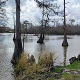 Review photo of White Oak Parish Park Campground by Kloee S., March 6, 2022