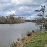 Review photo of White Oak Parish Park Campground by Kloee S., March 6, 2022