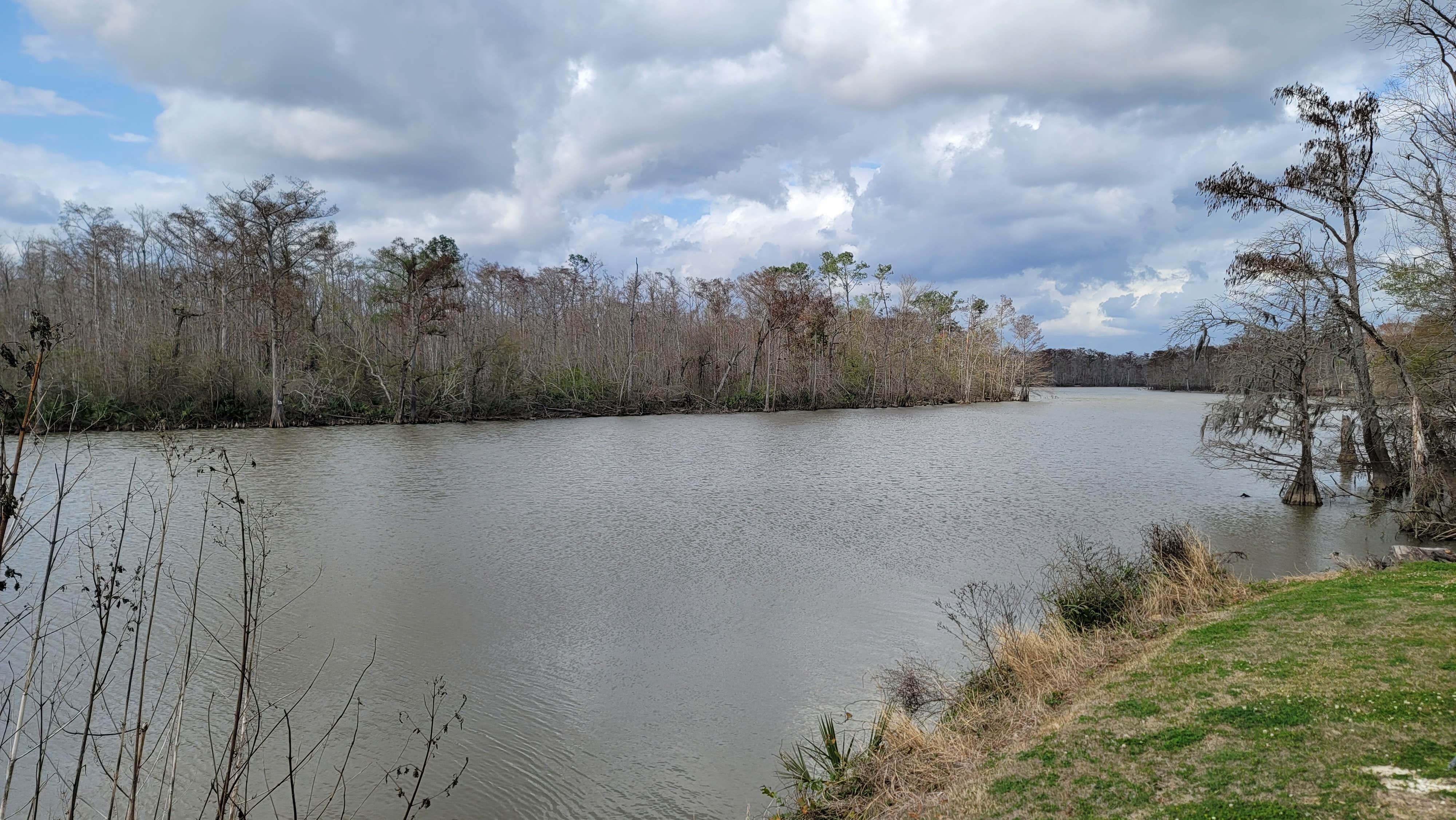 Camper submitted image from White Oak Parish Park Campground - 2