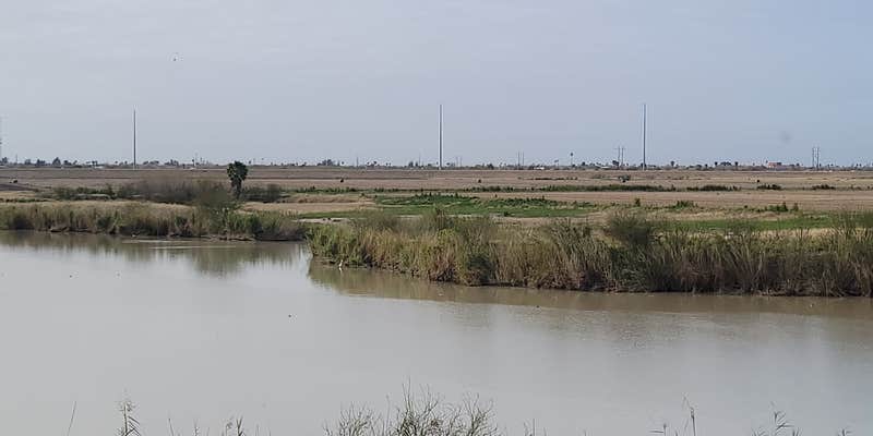 Camper submitted image from Llano Grande Lake Park Resort