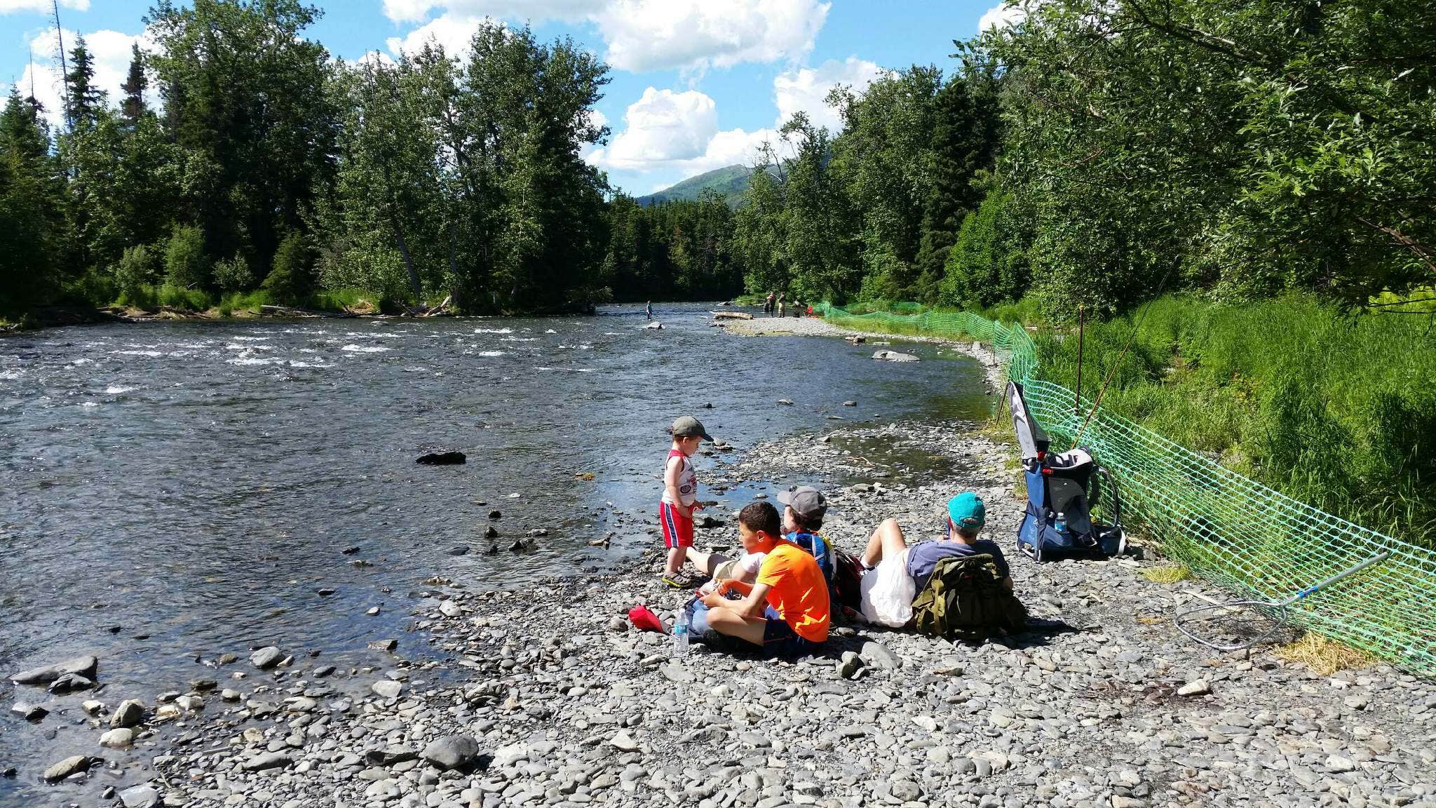 Camper submitted image from Russian River - TEMPORARILY CLOSED - 2