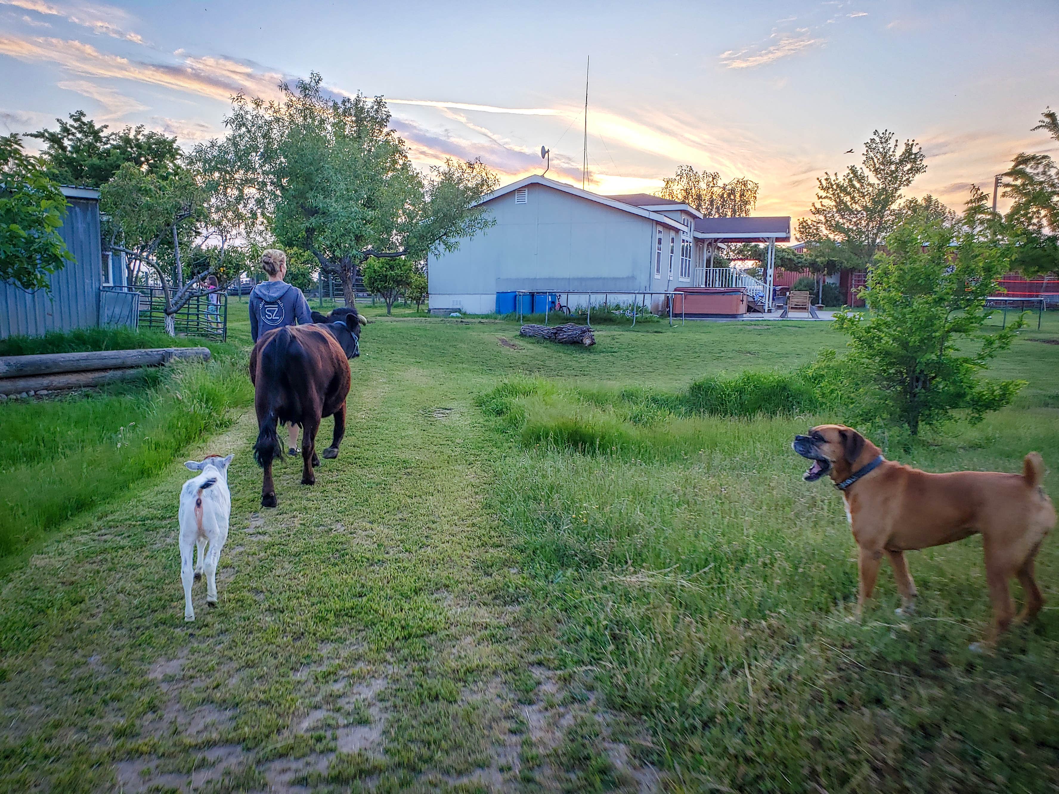 Camper-submitted photo at The Hirst Horse Ranch near Rancho Murieta, CA