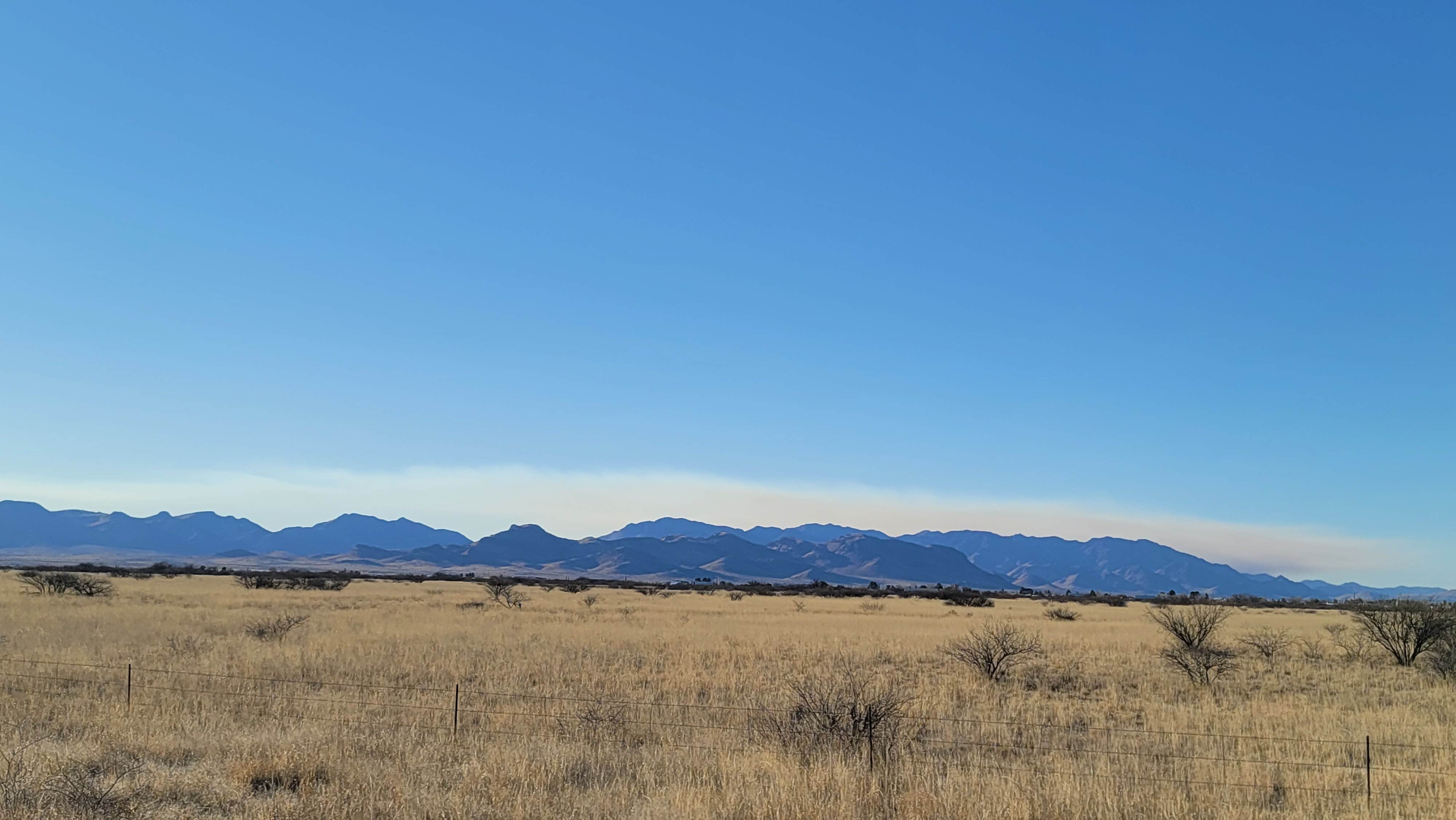 Camper-submitted photo at Cattlerest RV Park and Saloon near Willcox, AZ