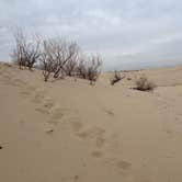 Review photo of Monahans Sandhills State Park Campground by Cris G., March 7, 2022