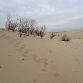 Review photo of Monahans Sandhills State Park Campground by Cris G., March 7, 2022