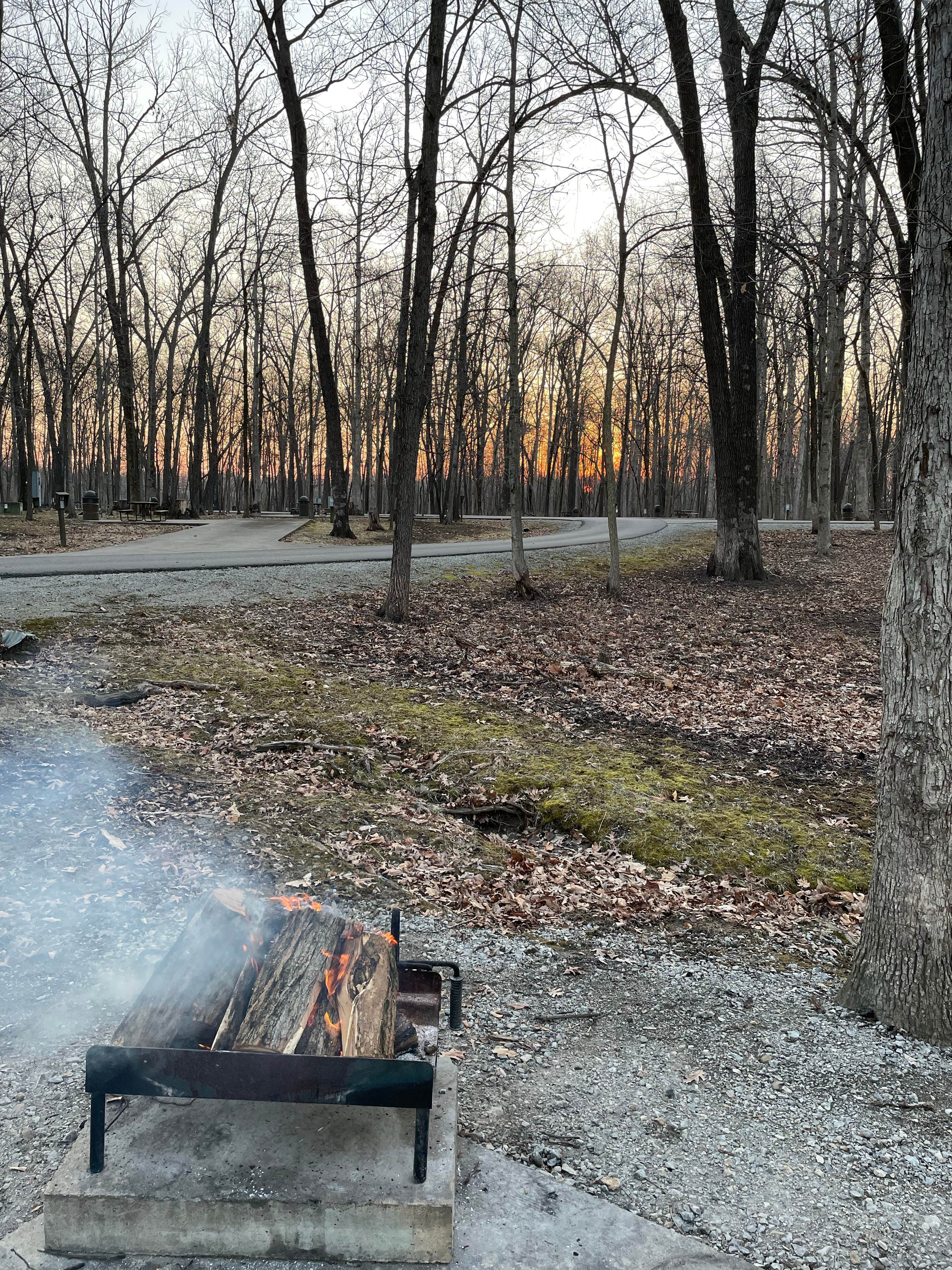 Camper submitted image from Sam Parr State Fish and Wildlife Area - 5