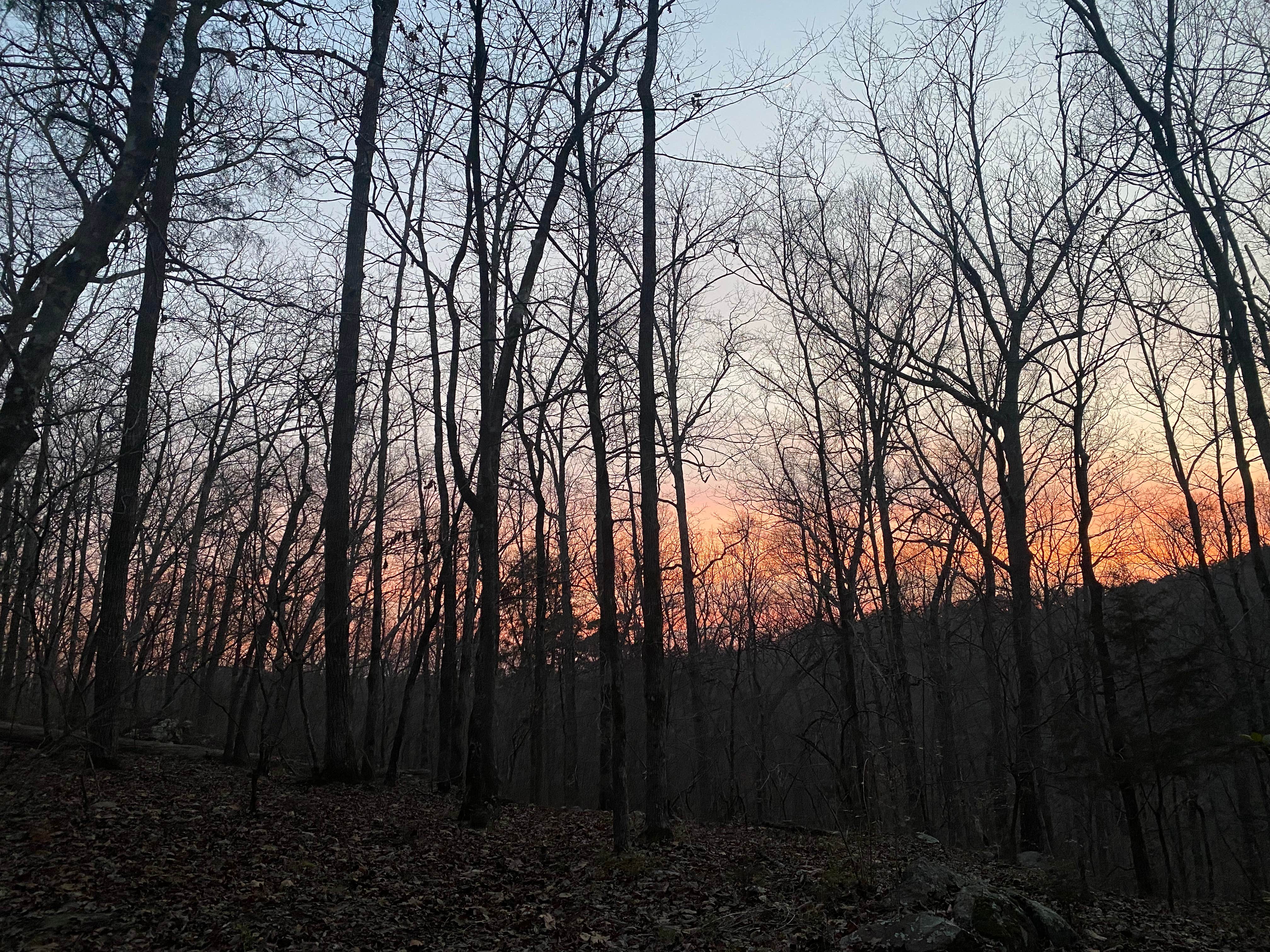 evangeline's photo of a dispersed camping area at Uwharrie National Forest near Harrisburg, NC