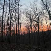 Review photo of Uwharrie National Forest by evangeline , March 7, 2022