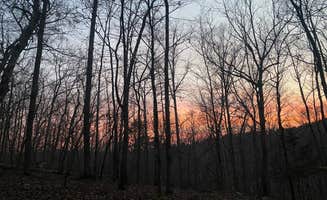 evangeline's photo of a dispersed camping area at Uwharrie National Forest near Gold Hill, NC