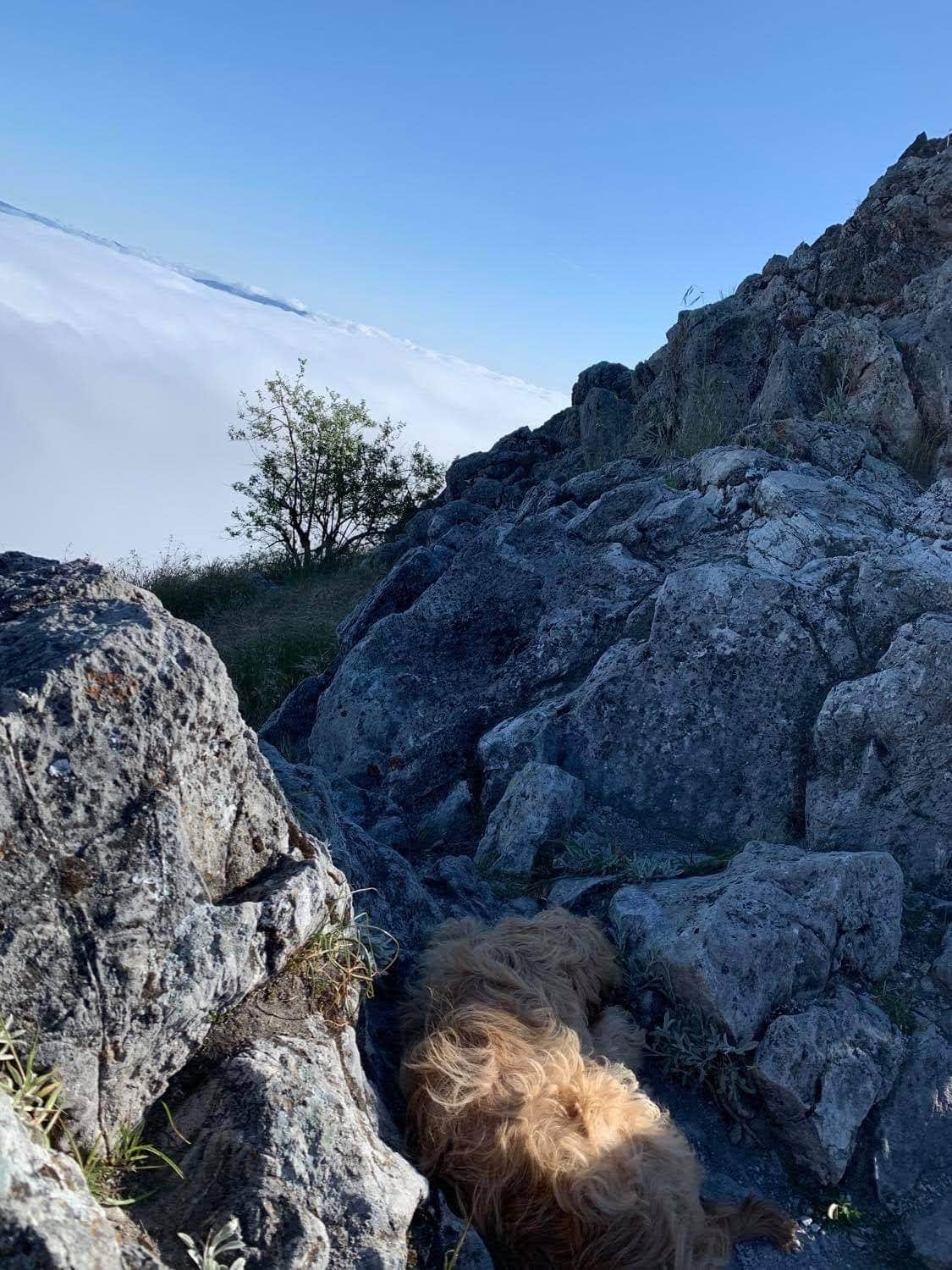 Camper-submitted photo at Oak Point Campground — Fremont Peak State Park near Paicines, CA