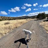 Review photo of Joe Skeen Campground - El Malpais NCA by Patrick B., March 7, 2022