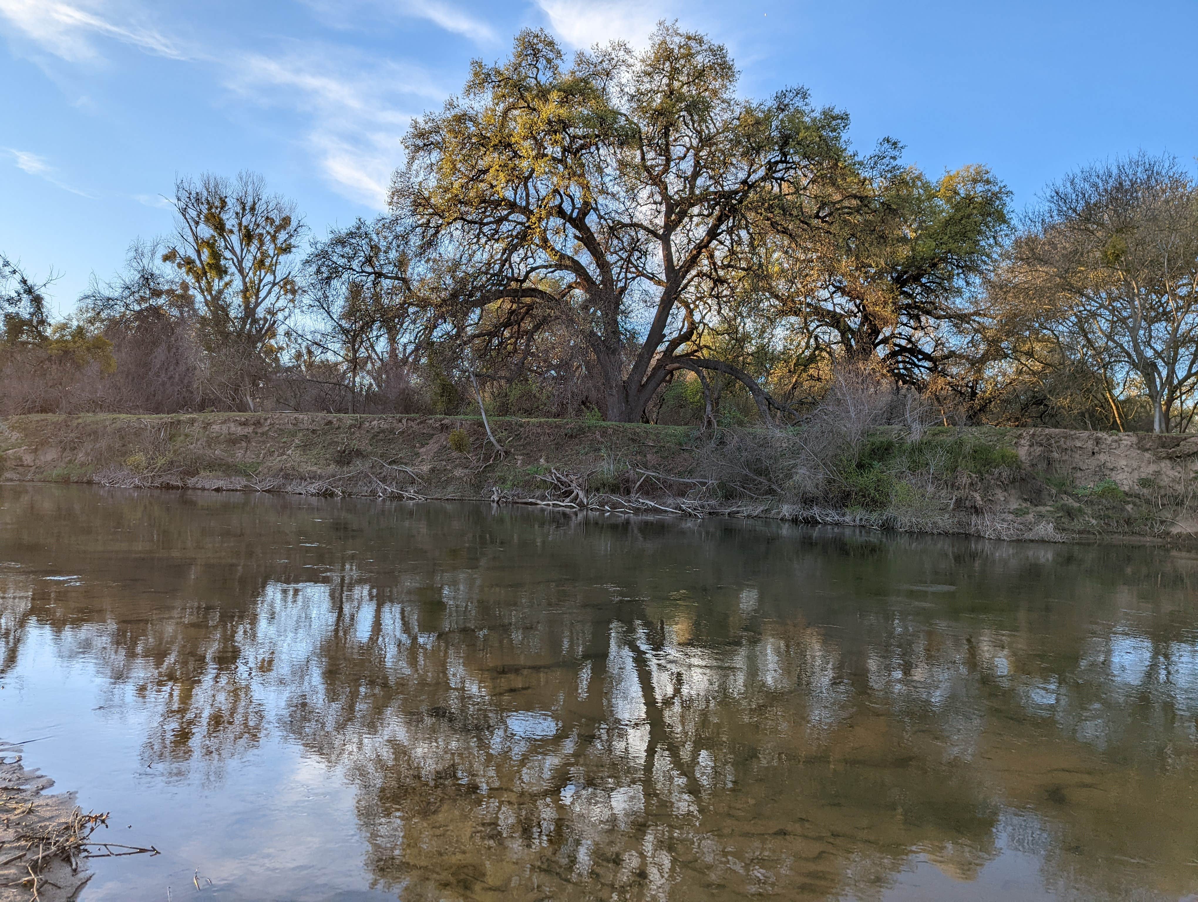 Camper-submitted photo at Caswell Memorial State Park Campground near Stockton, CA