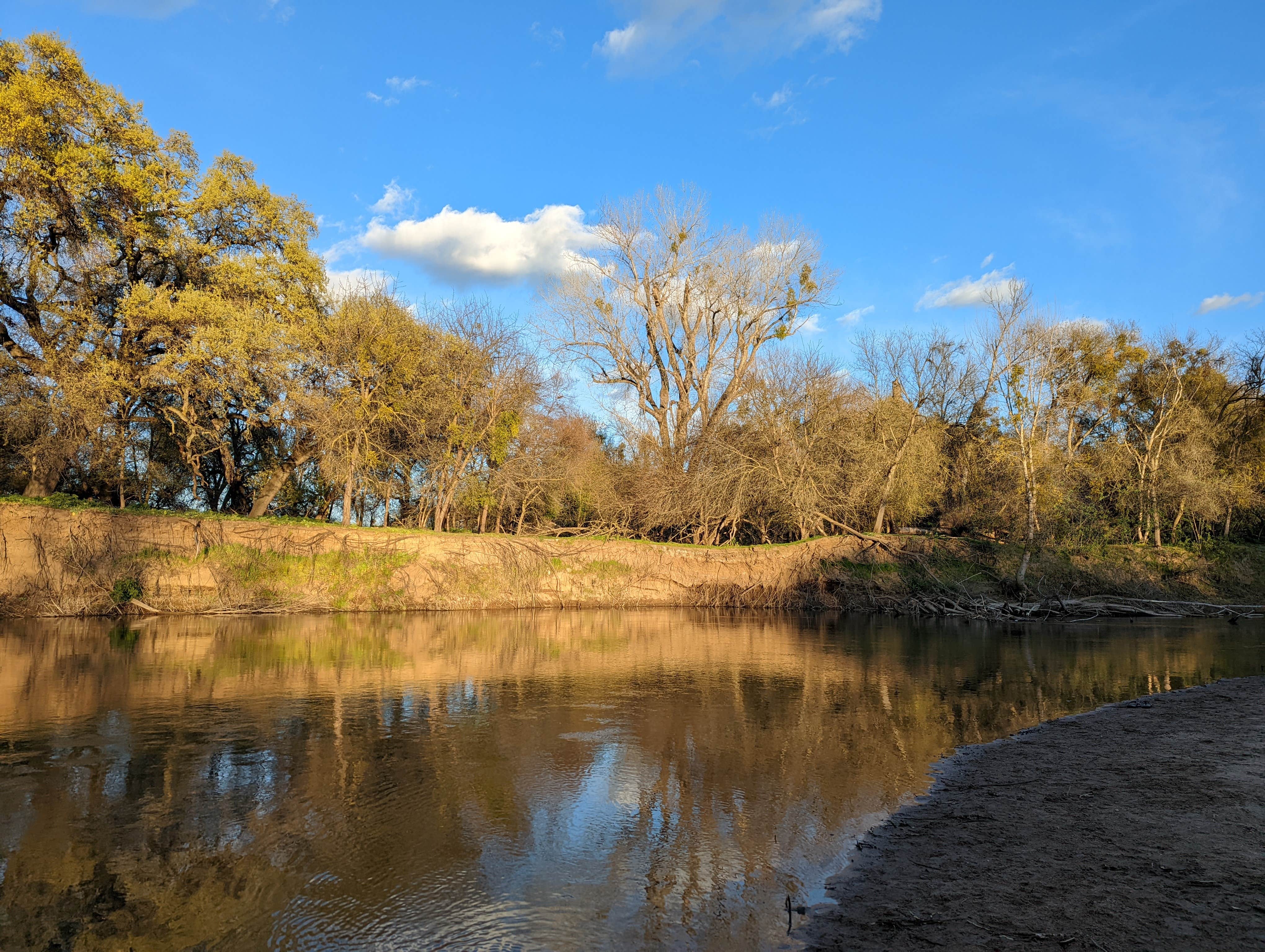 Camper-submitted photo at Caswell Memorial State Park Campground near Stockton, CA