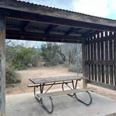 Review photo of South Llano River State Park Campground by Carol J., March 7, 2022