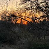 Review photo of South Llano River State Park Campground by Carol J., March 7, 2022