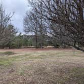 Review photo of Whitney Lane RV Park by Aniko S., March 7, 2022