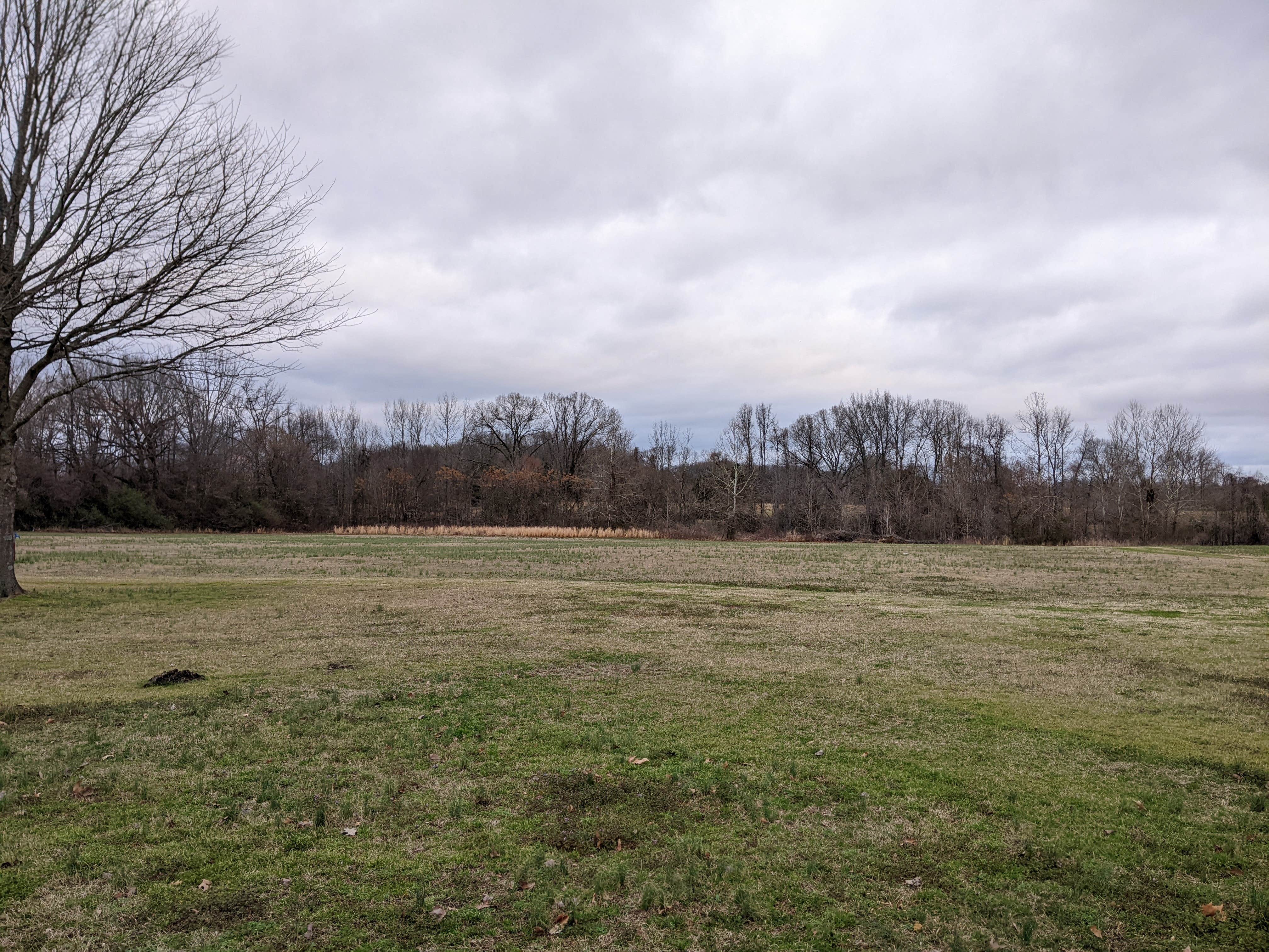 Camper-submitted photo at Searcy Rv Resort near Batesville, AR