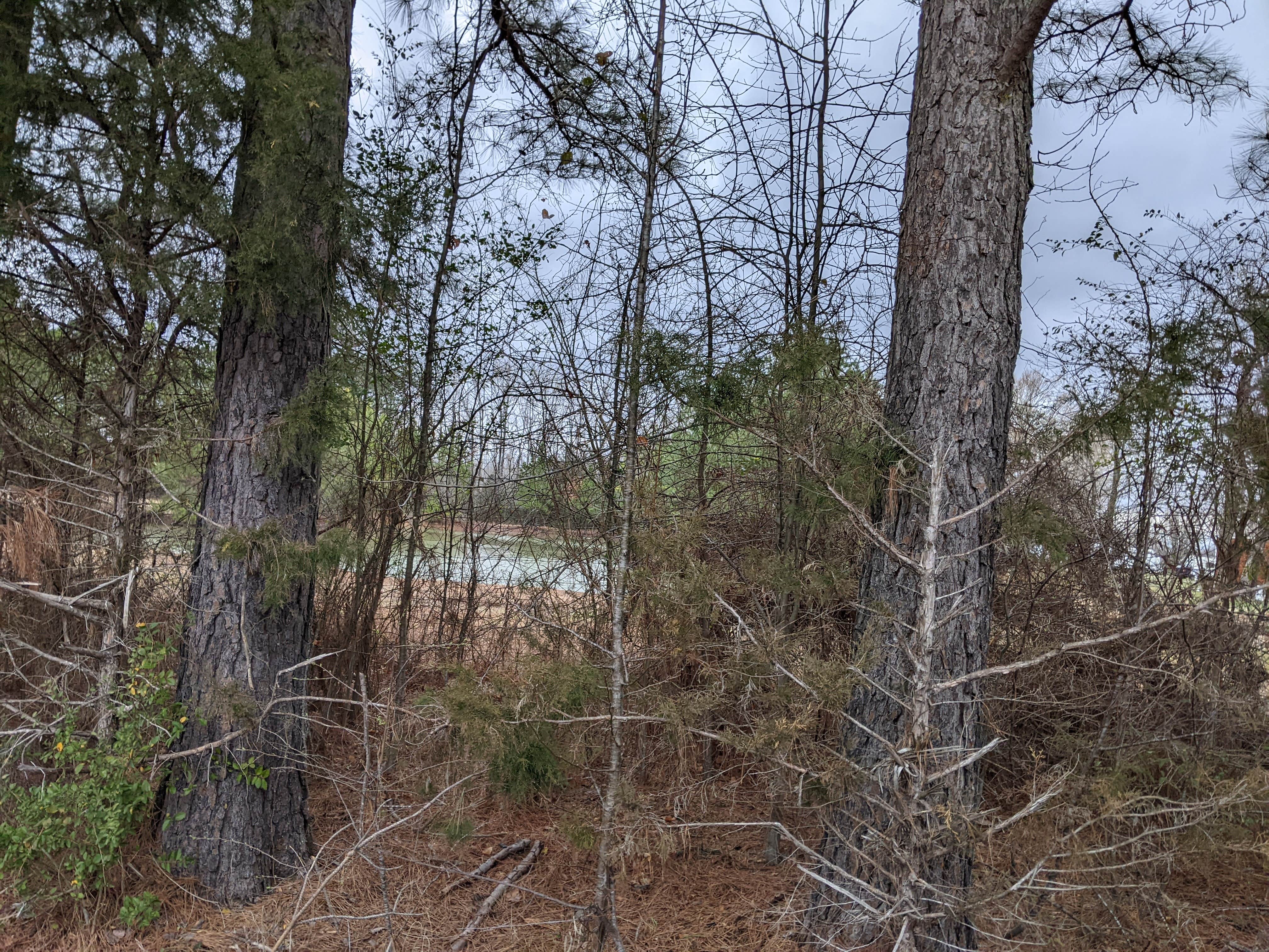 Camper-submitted photo at Searcy Rv Resort near Batesville, AR