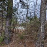 Review photo of Whitney Lane RV Park by Aniko S., March 7, 2022