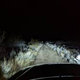 Review photo of Granite Pass Dispersed Roadside Camping — Mojave National Preserve by Steve O., March 7, 2022