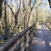 Review photo of Reed Bingham State Park Campground by Timothy B., March 7, 2022