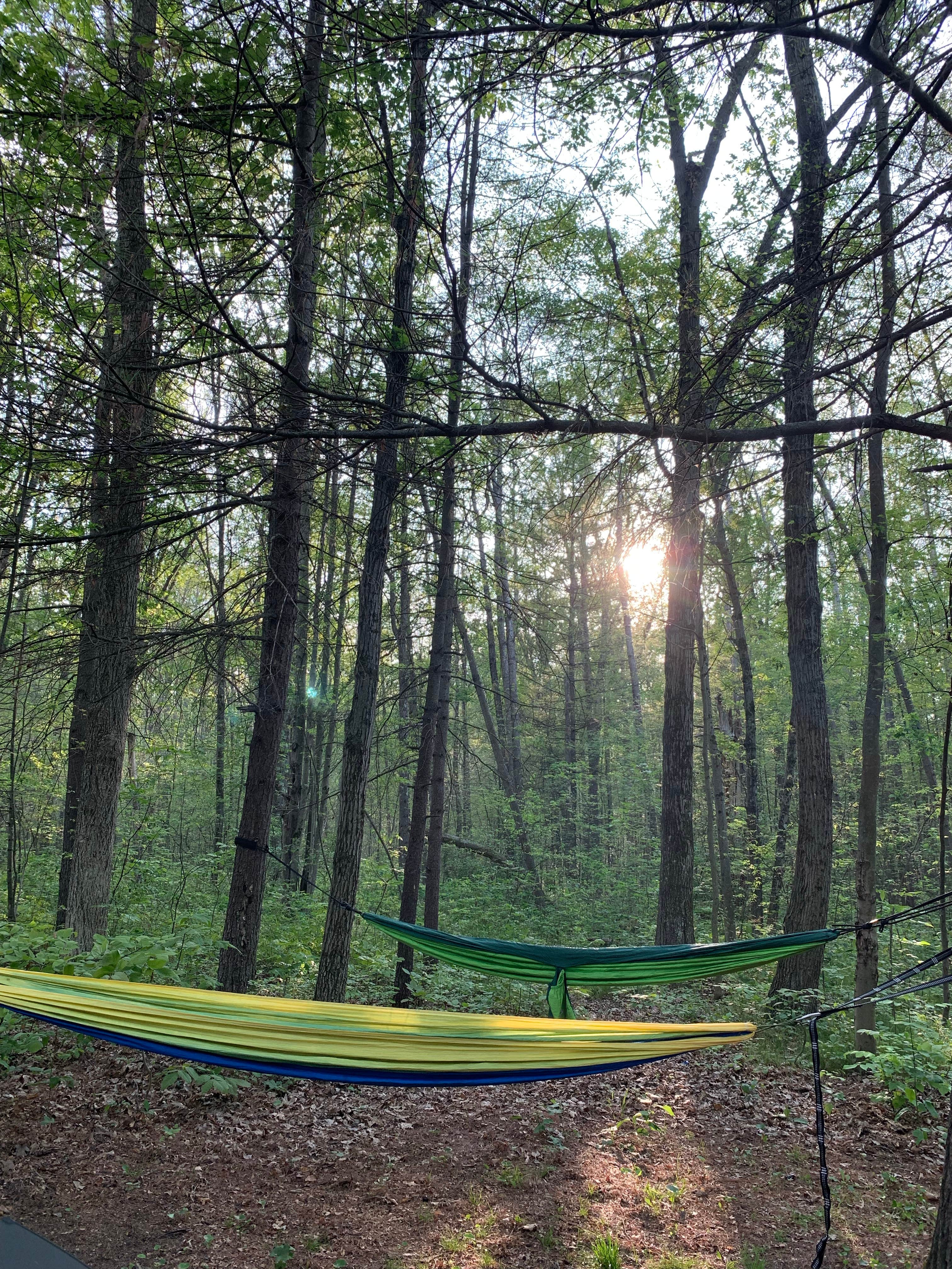 Camper-submitted photo at Croton Township Campground near Morley, MI