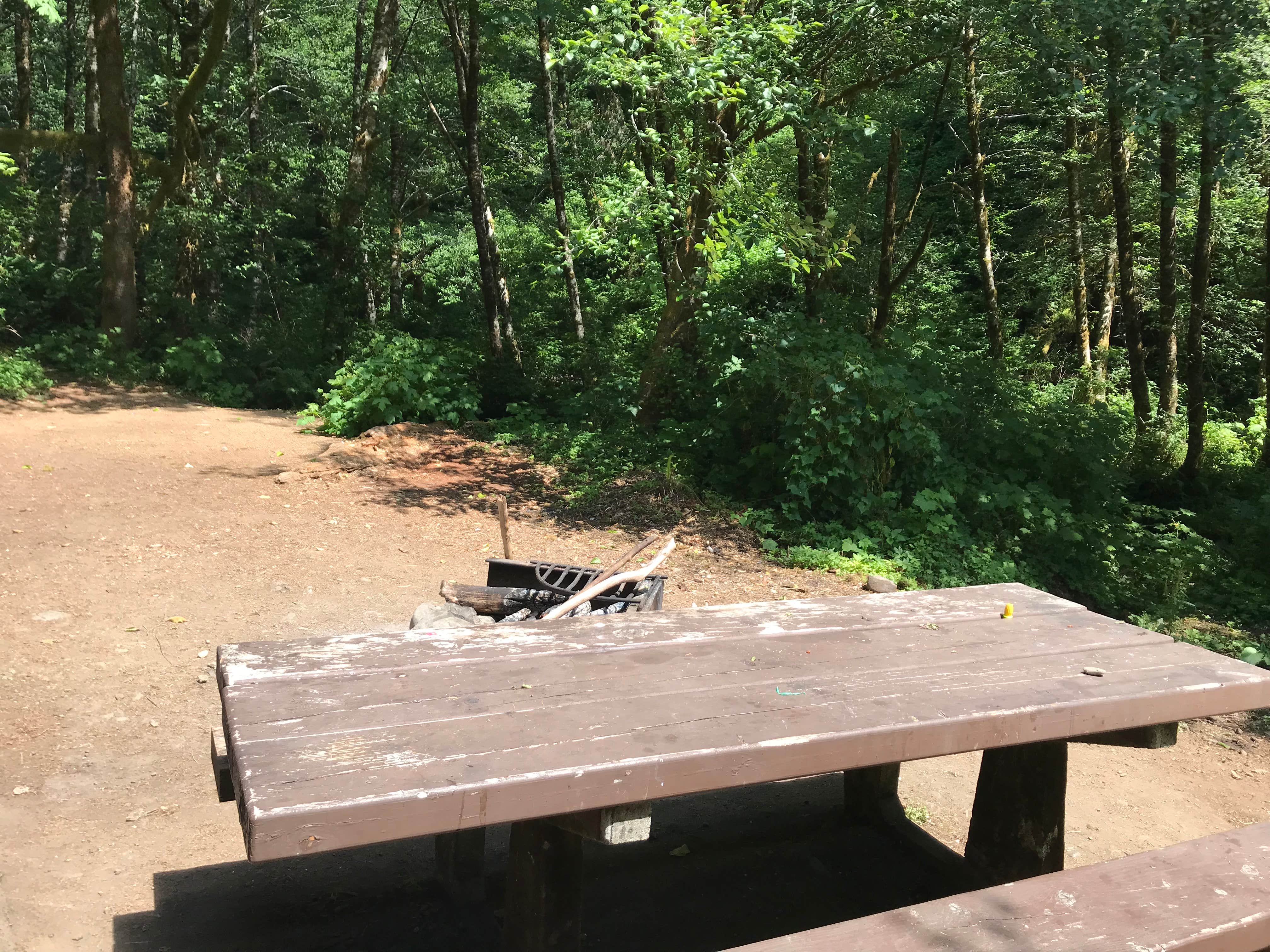 Camper submitted image from Alder Glen Recreation Site - 2