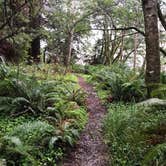 Review photo of Gualala Point Regional Park by Chenowa , March 8, 2022