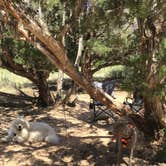 Review photo of Echo Park Campground Group Site — Dinosaur National Monument by Bryan P., March 8, 2022