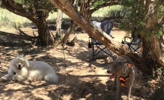 Bryan P.'s photo of camping with pets at Echo Park Campground Group Site — Dinosaur National Monument near Dinosaur National Monument