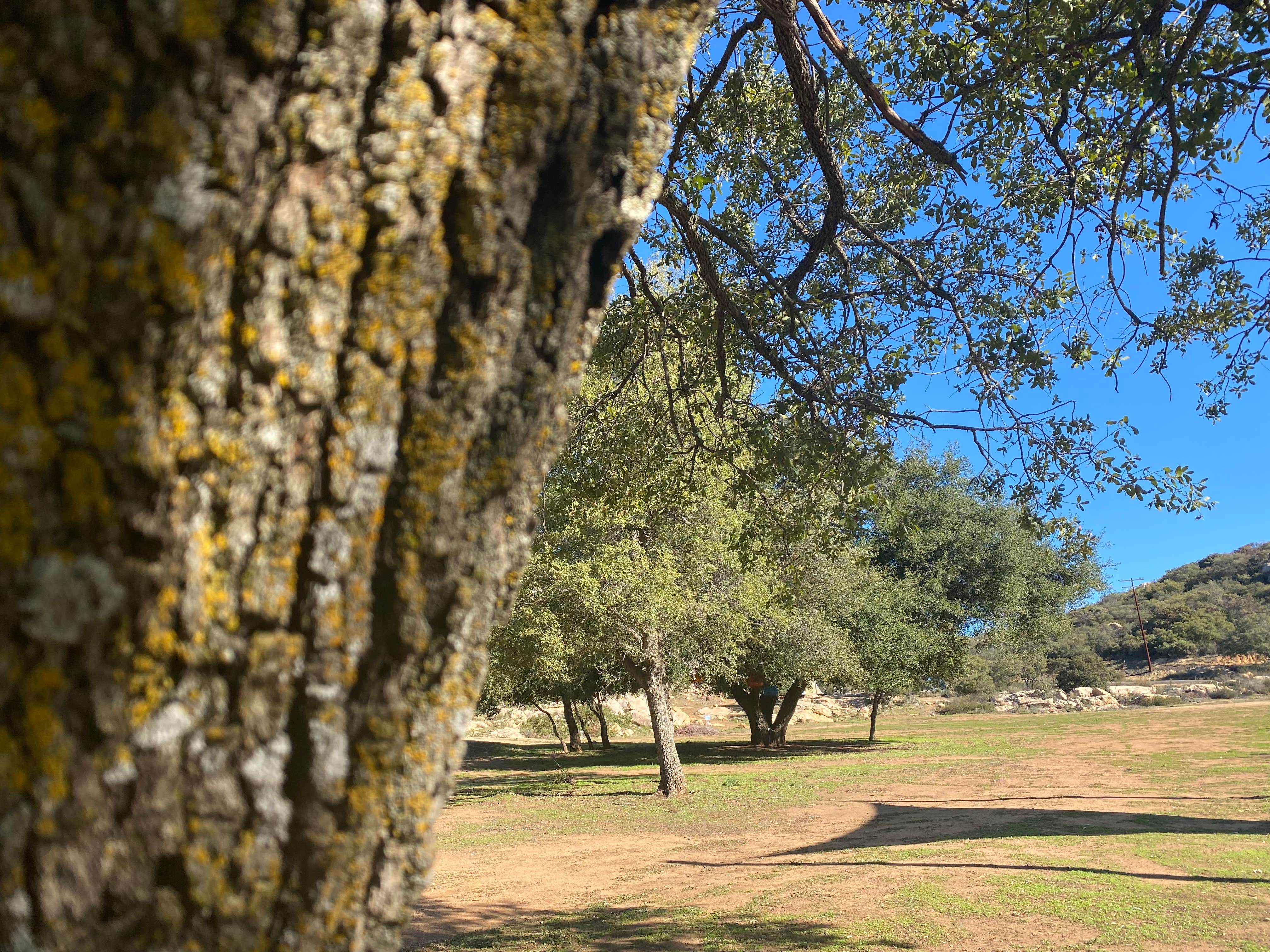 Camper submitted image from Sweetwater Ranch Jamul - 2