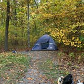 Review photo of Black Moshannon State Park Campground by Jess D., March 9, 2022