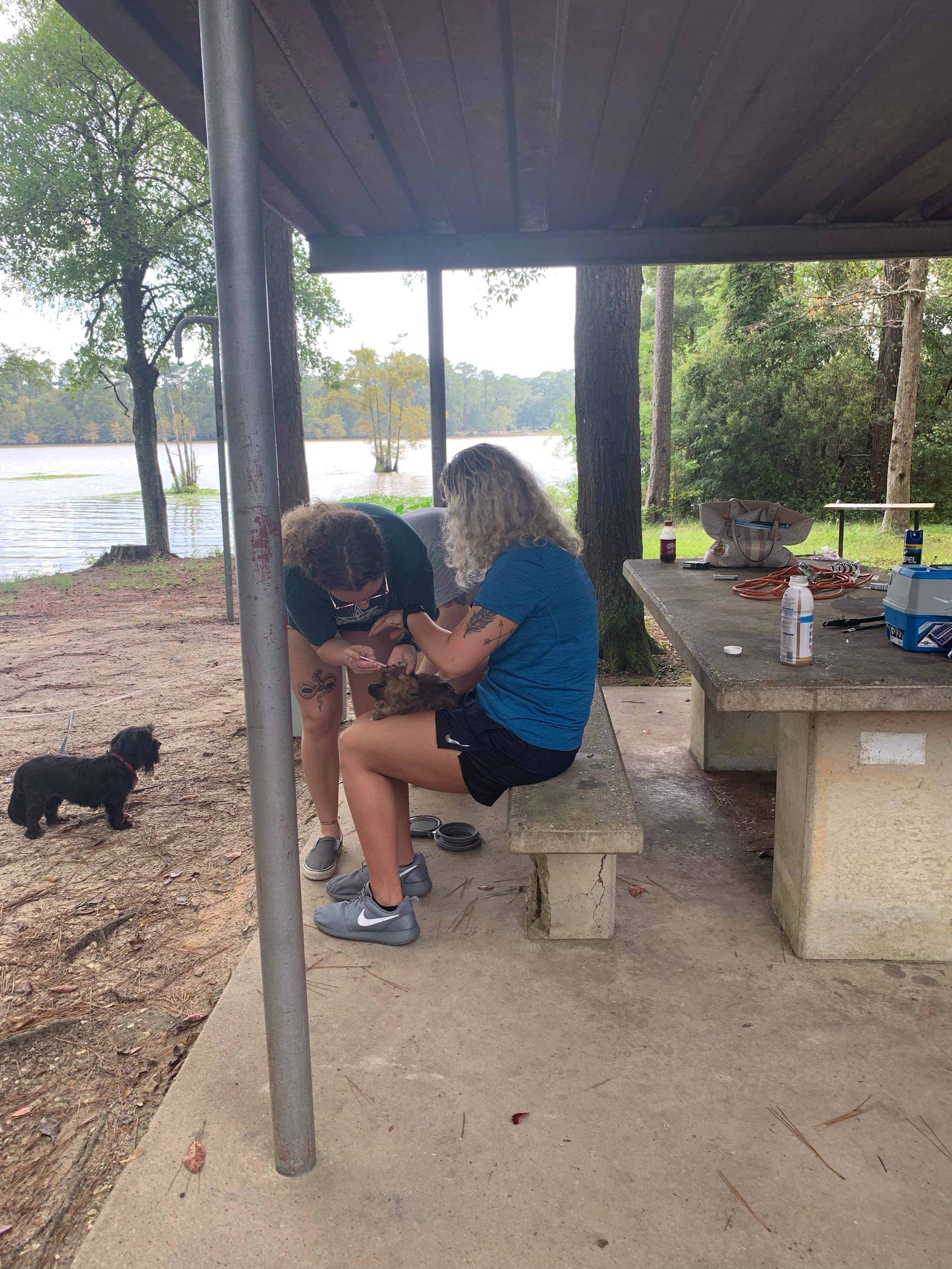 Camper-submitted photo at Sandy Creek - Town Bluff Reservoir near Big Thicket National Preserve