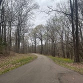 Review photo of Rocky Springs Campground, Milepost 54.8 — Natchez Trace Parkway by Caitlyn E., March 9, 2022