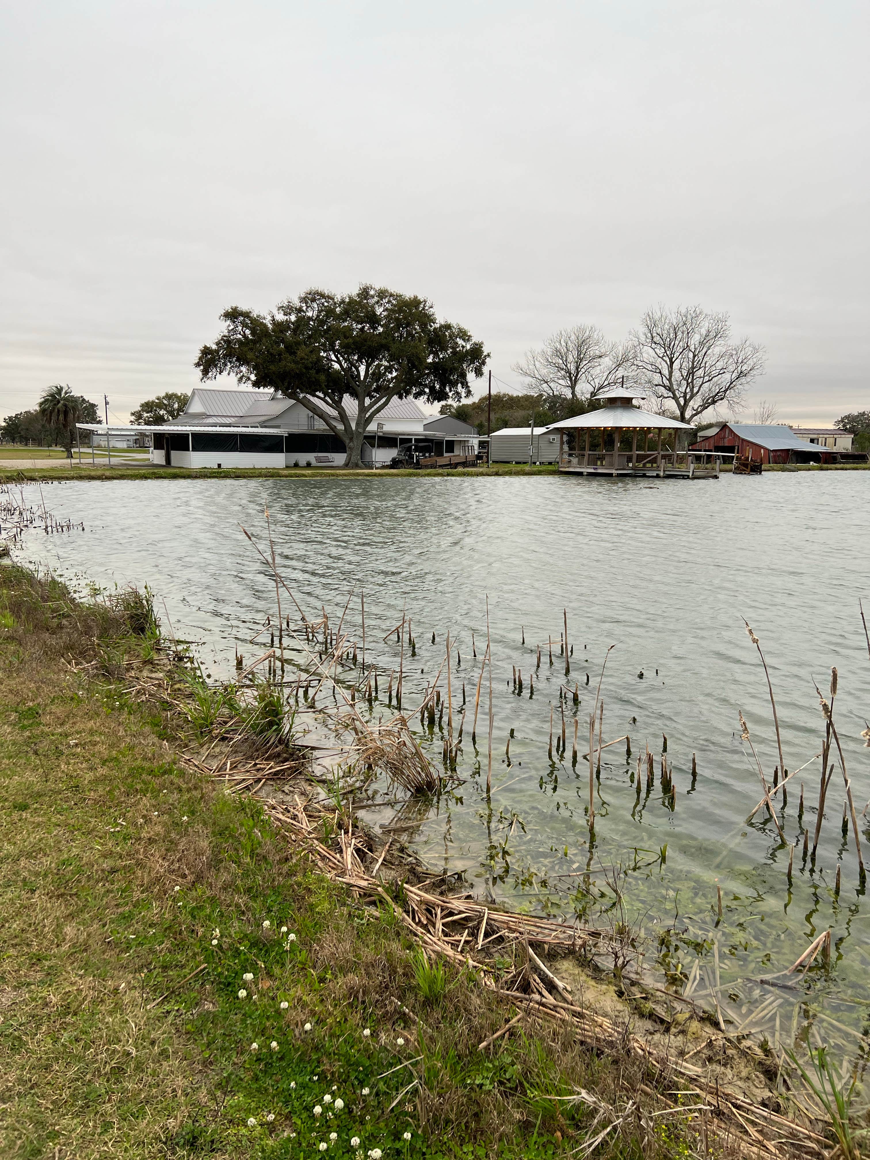 Camper submitted image from Crawfish Haven/Mrs. Rose Bed and Breakfast - 1