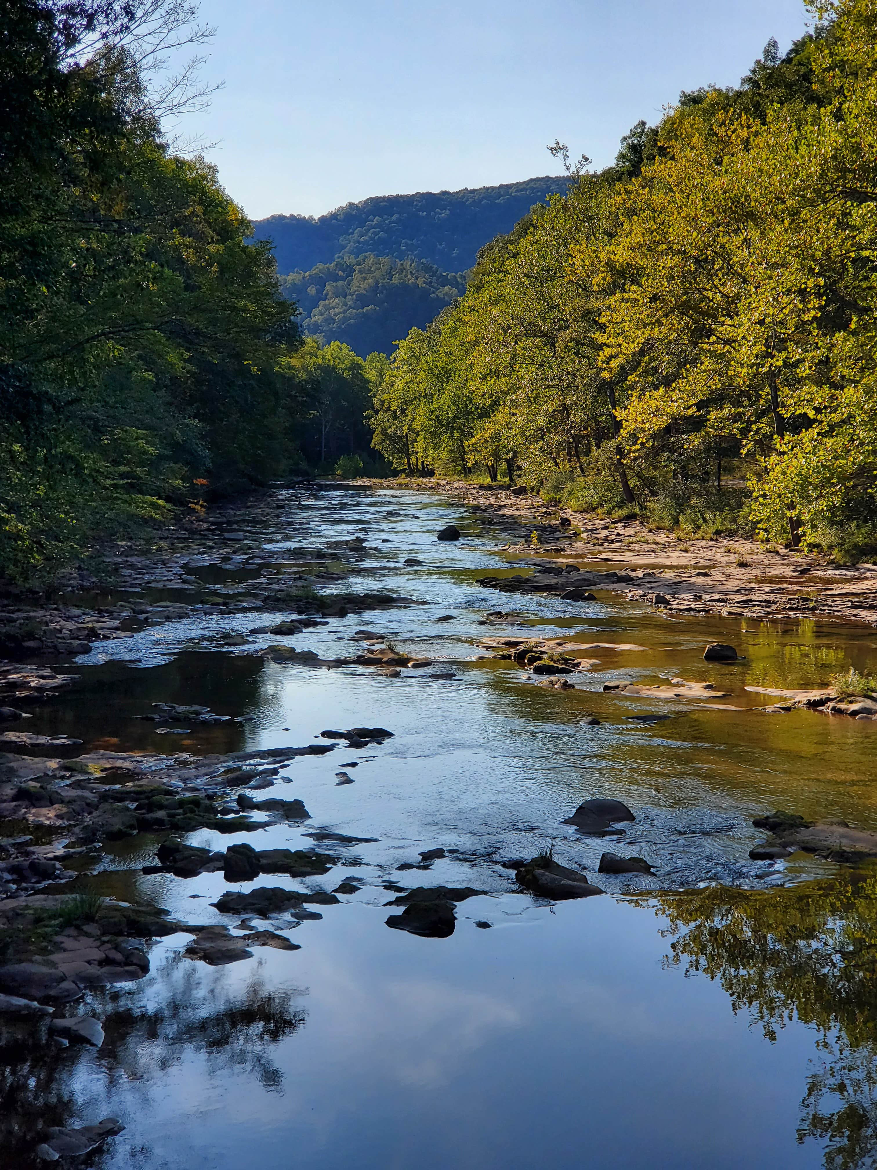 Camper submitted image from Elk River Dispersed camping - 5