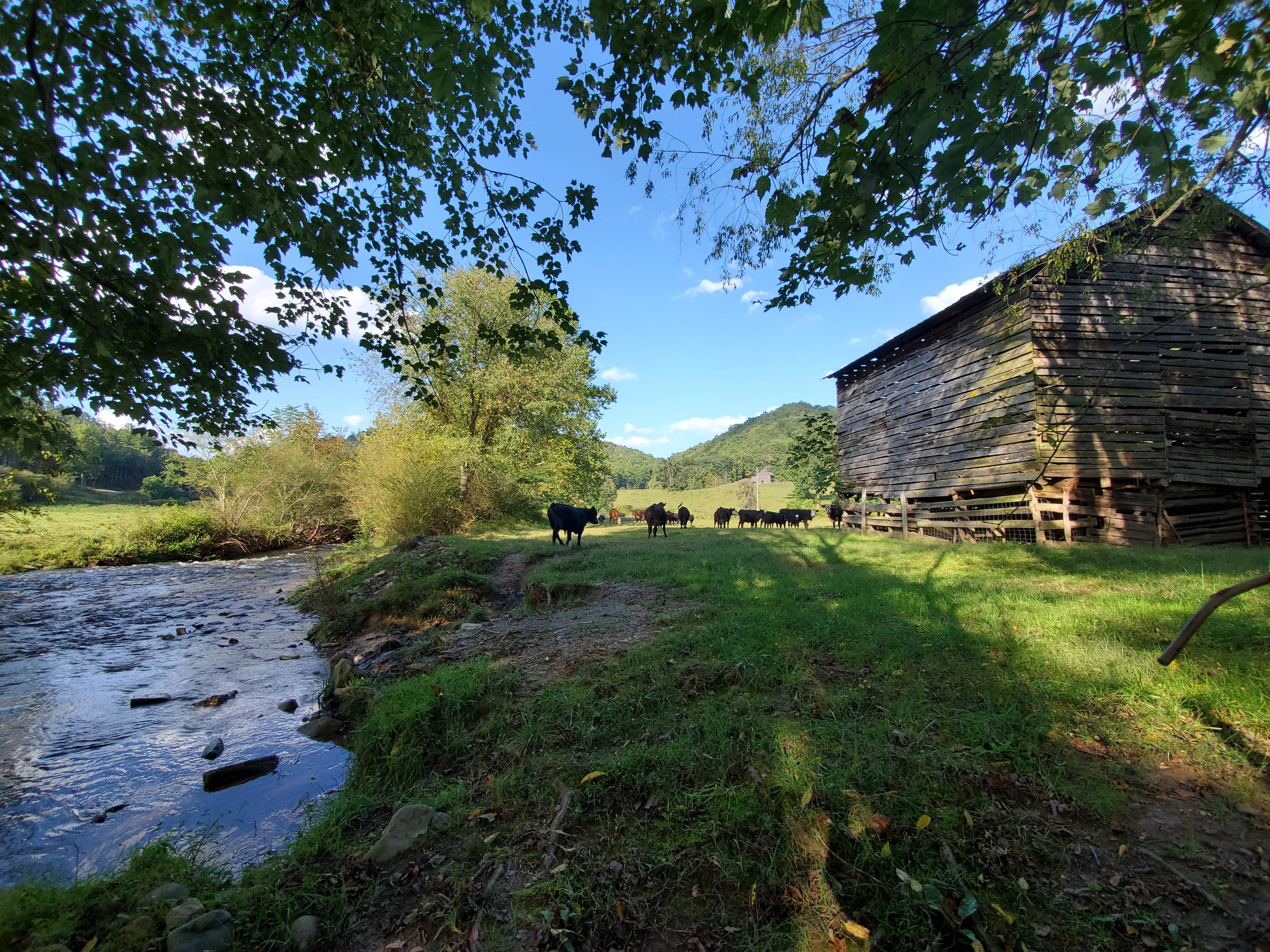 Heather P.'s photo of a cabin at Kickstand Lodge near Tallassee, TN