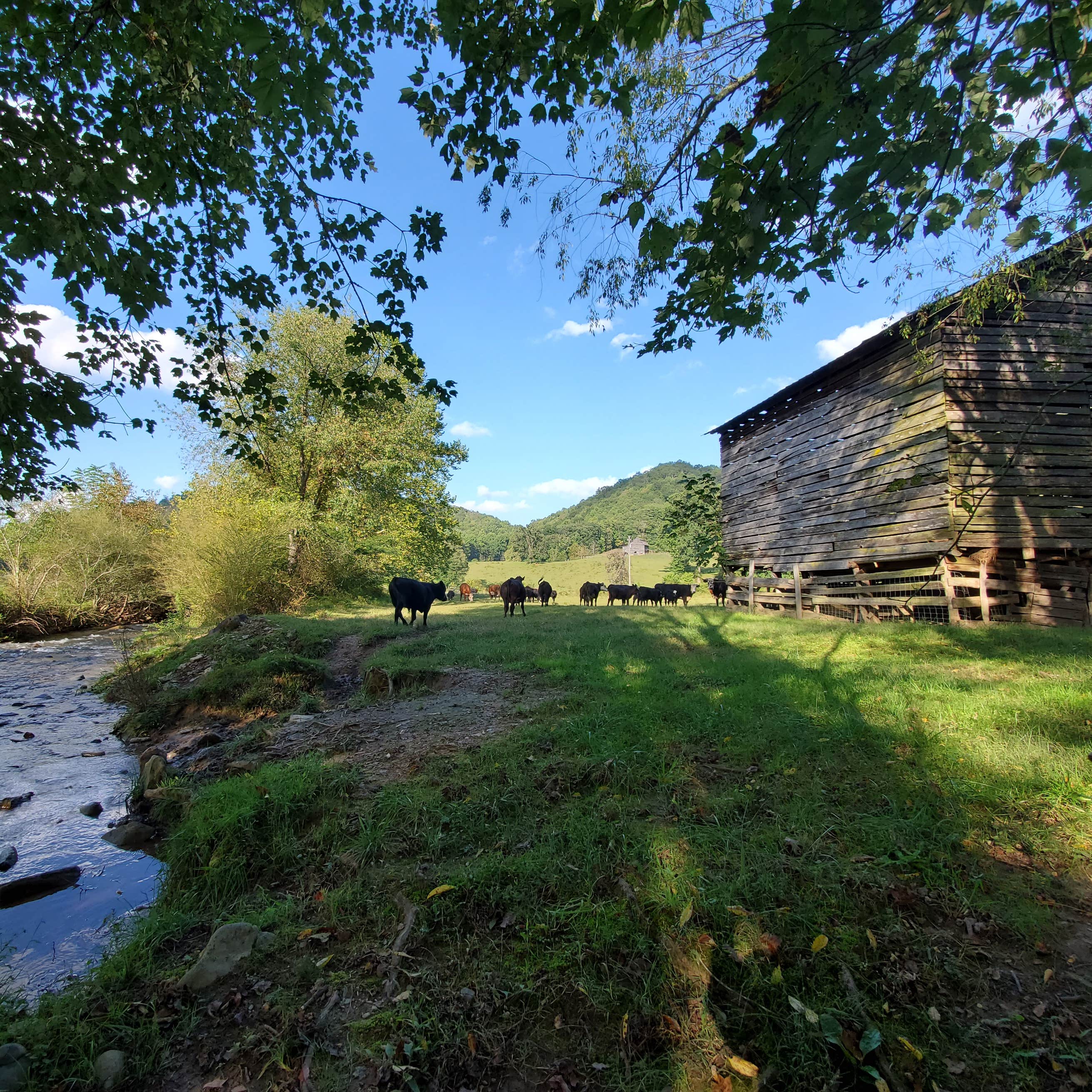 Kickstand Lodge Camping The Dyrt