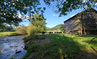 Heather P.'s photo of glamping accommodations at Kickstand Lodge near Croatan National Forest