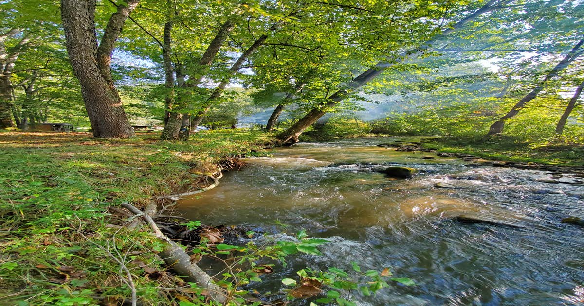 Kickstand Lodge Camping Stecoah, NC