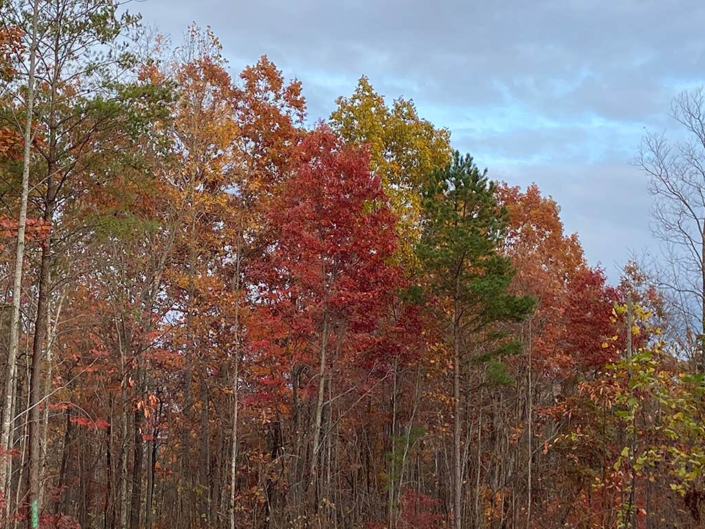 Camper-submitted photo at Camp Chet near Monteagle, TN