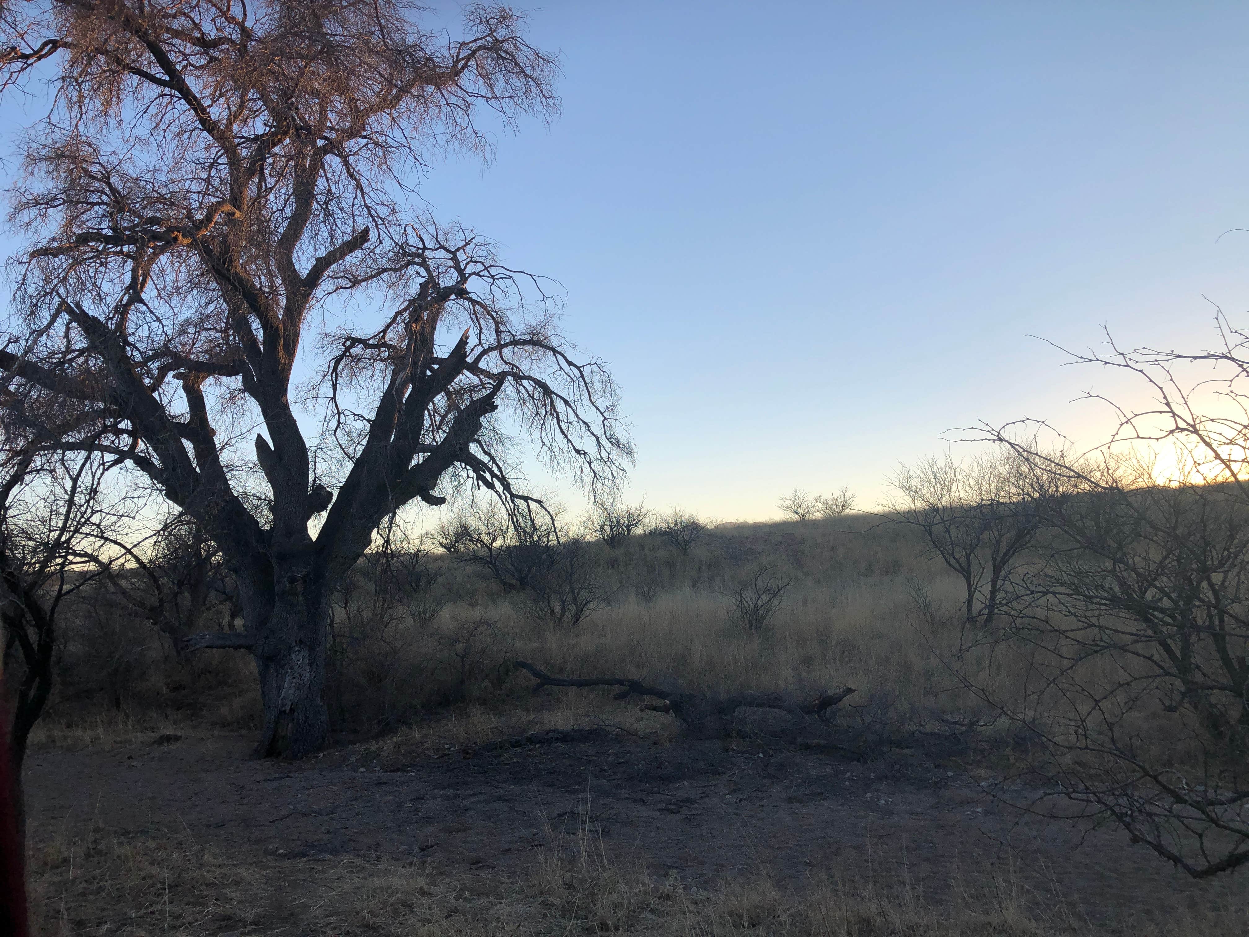 Camper-submitted photo at Empire Ranch Area Dispersed Camping near Sonoita, AZ