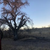Review photo of Empire Ranch Area Dispersed Camping by Vinny D., March 10, 2022