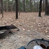 Review photo of Sesquicentennial State Park Campground by Tracy H., March 10, 2022