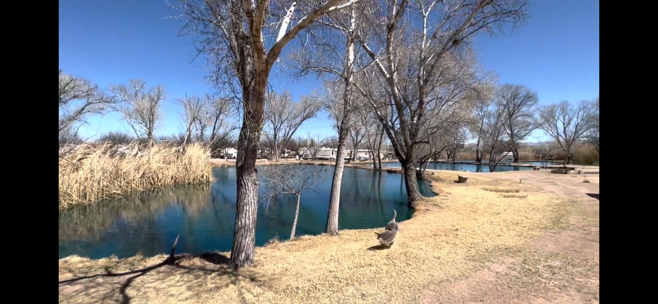 Camping near Benson KOA: Pato Blanco Lakes RV Resort, Coronado National Forest, Arizona