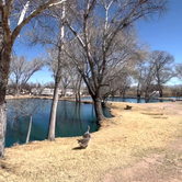 Review photo of Pato Blanco Lakes RV Resort by Jeff & Steff’s Excellent Adventure , March 10, 2022