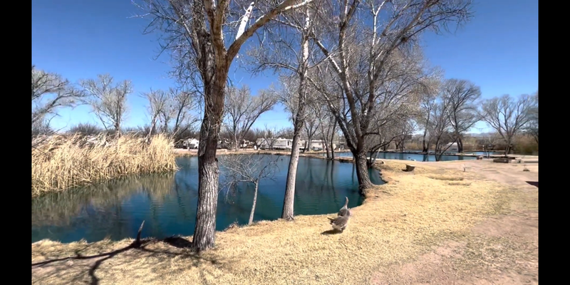 Camper submitted image from Pato Blanco Lakes RV Resort